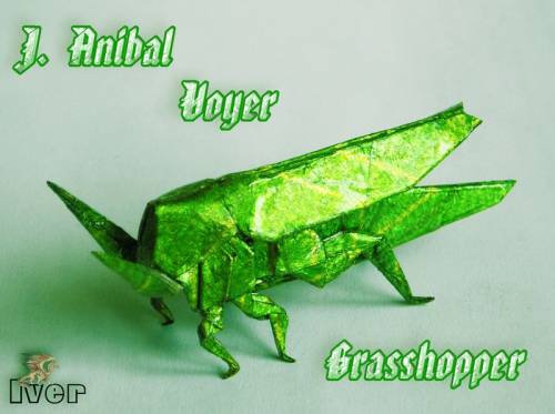 J. Anibal Voyer - Grasshopper