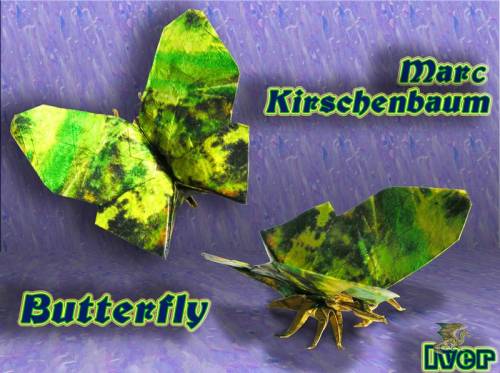 Marc Kirschenbaum - Butterfly
