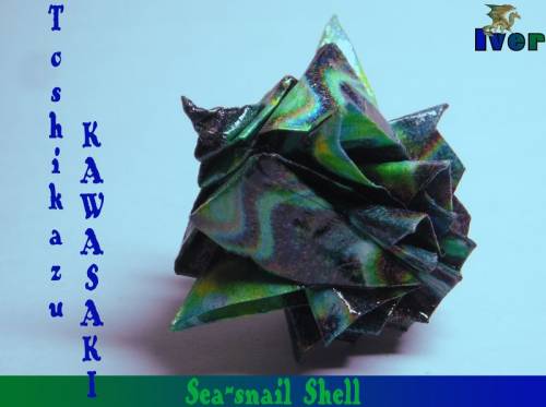 Toshikazu Kawasaki - Sea-snail Shell