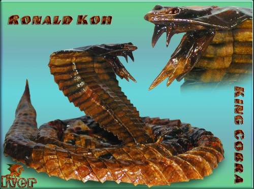 Ronald Koh - King Cobra