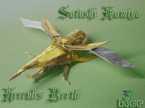 Satoshi Kamiya - Hercules Beetle