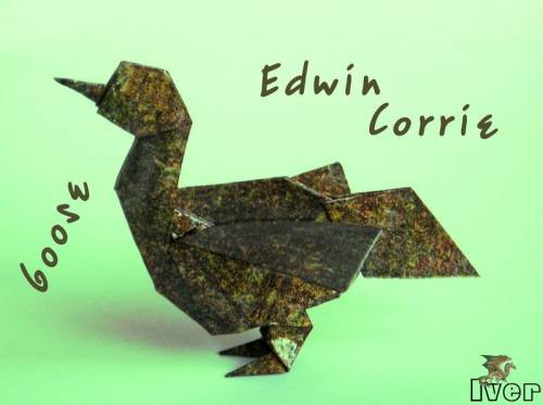 Edwin Corrie - Goose