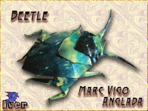 Marc Vigo Anglada - Beetle
