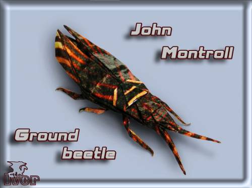John Montroll - Ground Beetle
