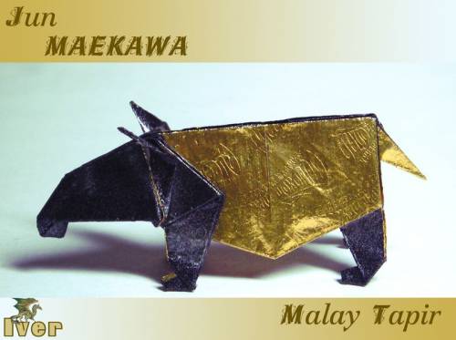 Jun Maekawa - Malay Tapir