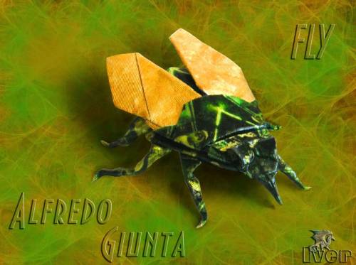 Alfredo Giunta - Fly