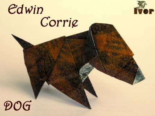 Edwin Corrie - Dog
