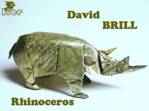 David Brill - Rhinoceros
