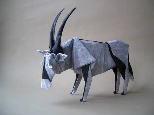 Quentin Trollip- Oryx