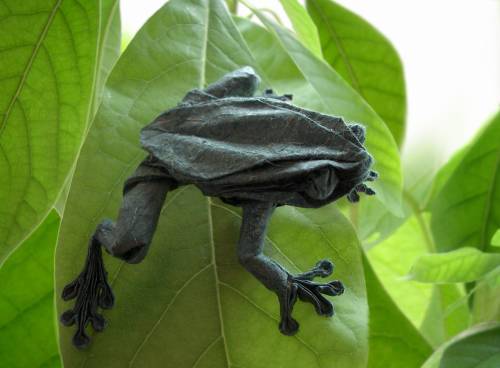 Robert J. Lang- Tree Frog