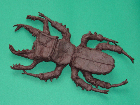 Lucanus Swinhoei