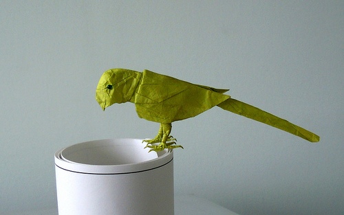True Parrot