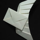 оригами Хойо Такаши 